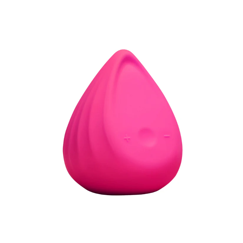 Biird Evii - Image 3