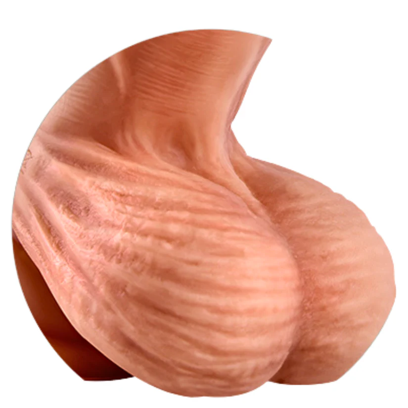 Erocome Hercules - Image 4