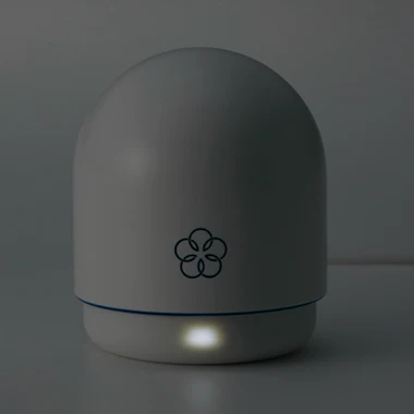 Iroha Temari Hana - Image 7