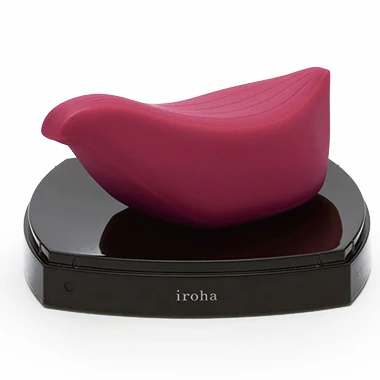 Iroha Tori - Image 4