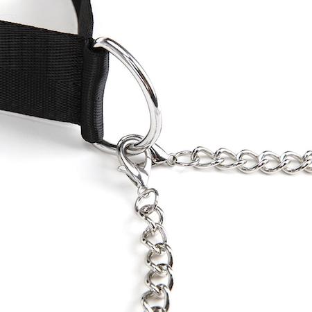 Lux Fetish Collar & Nipple Clamps - Image 5