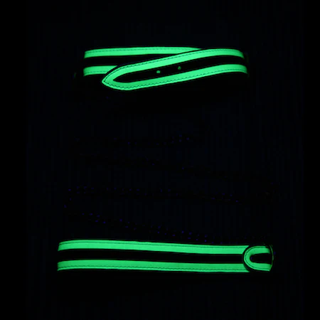 Whipsmart Glow in the Dark Deluxe Role-Play Collar & Leash - Image 3